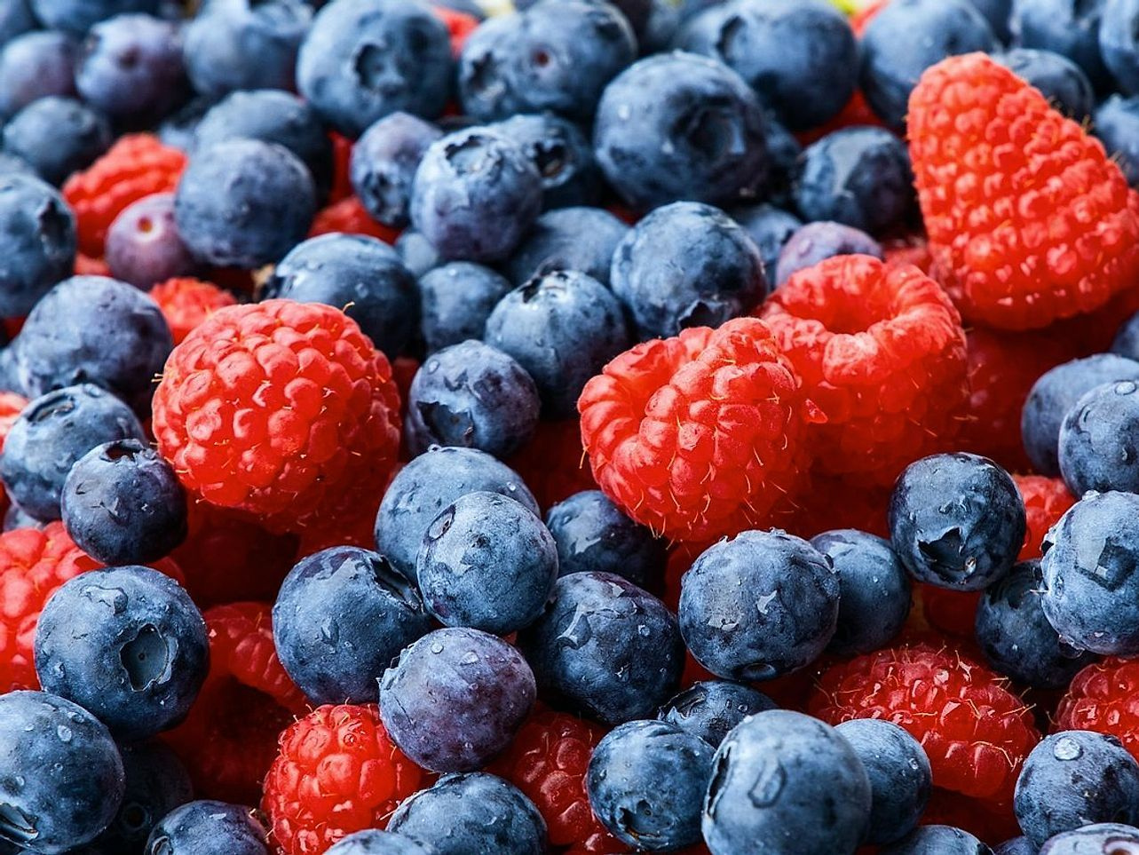 Taze Meyve Sıkma Juice Bar